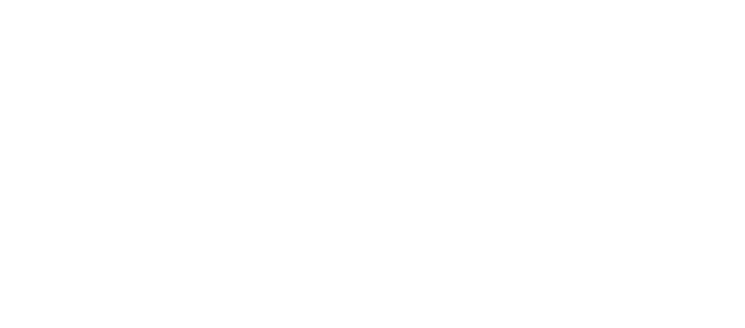 VIKA of Sweden